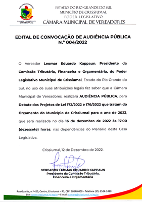 Audiencia Publica 04-2022